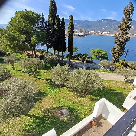 Skiathos Lagoterra Apartments Extérieur photo