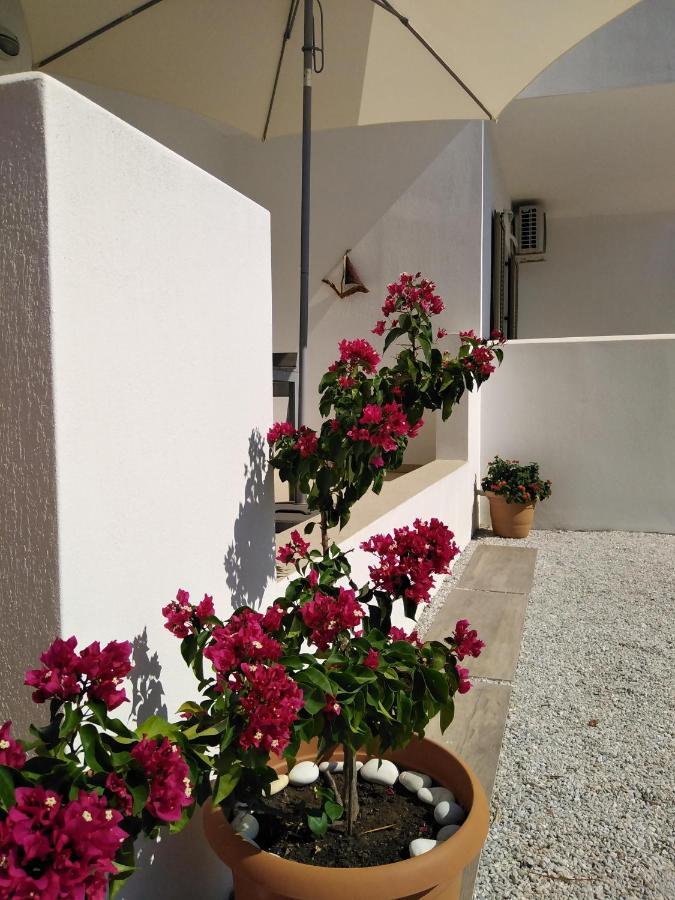 Skiathos Lagoterra Apartments Extérieur photo