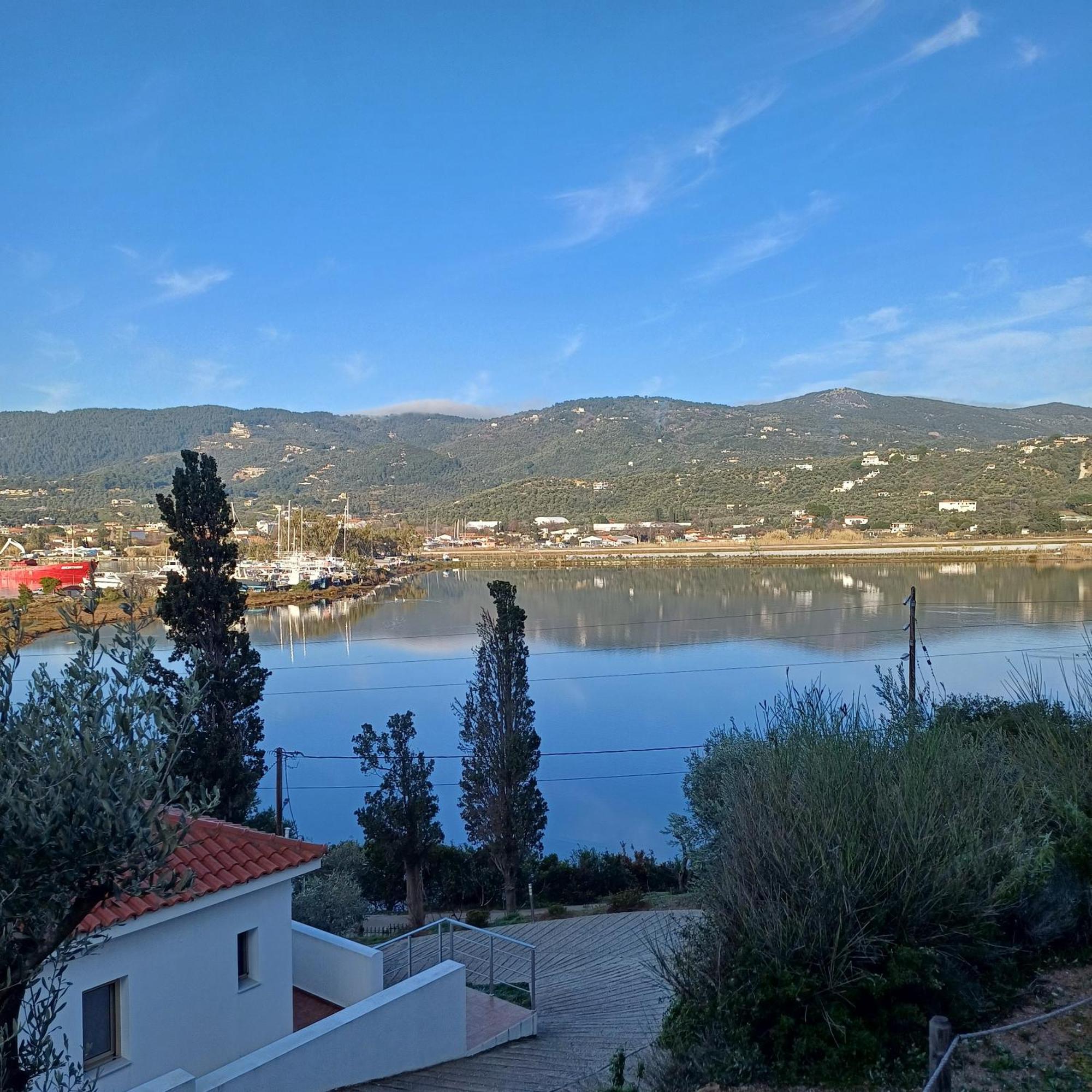Skiathos Lagoterra Apartments Extérieur photo